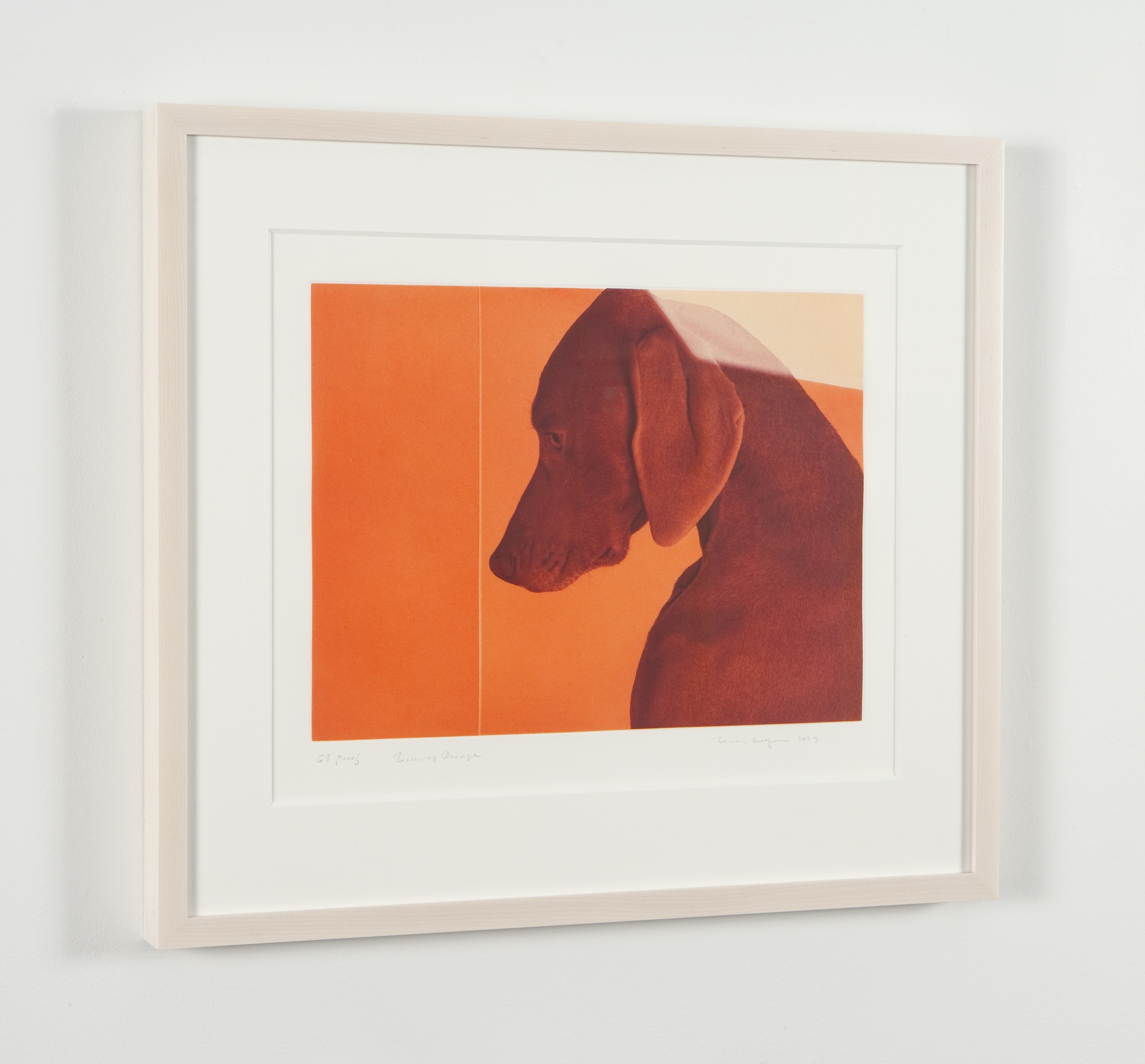 Artist: William Wegman