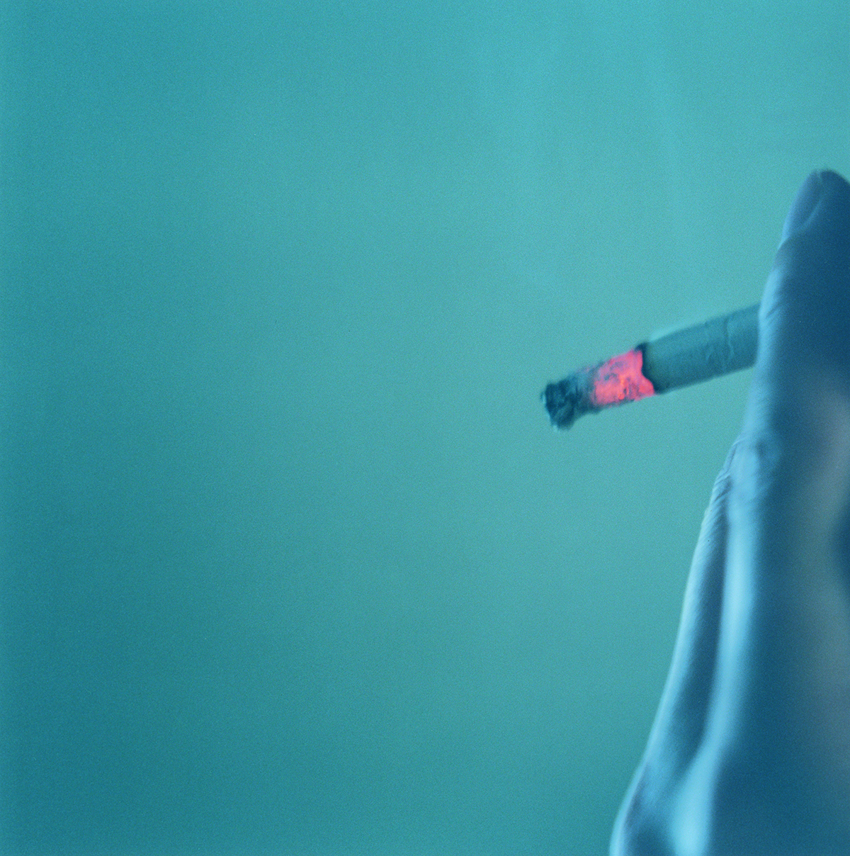 Rinko Kawauchi, Japanese, born 1972
Untitled, 2007–11 
Chromogenic prints
Courtesy of artist
Minneapolis Institute of Arts