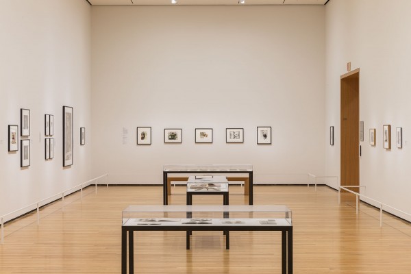2014-07-28 DB Believable Lie_18 The Believable Lie: Heinecken, Polke, and Feldmann at the Cleveland Museum of Art
