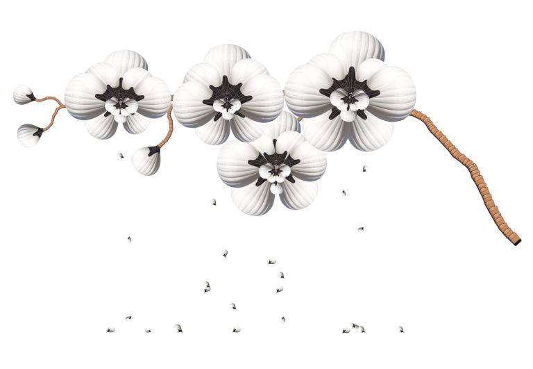 Orchid Seeding 2, 2016
Archival Inkjet on Cotton Rag
24 x 30 in, 60.9 x 76.2 cm
Edition of 2
Copyright: Cassandra C. Jones