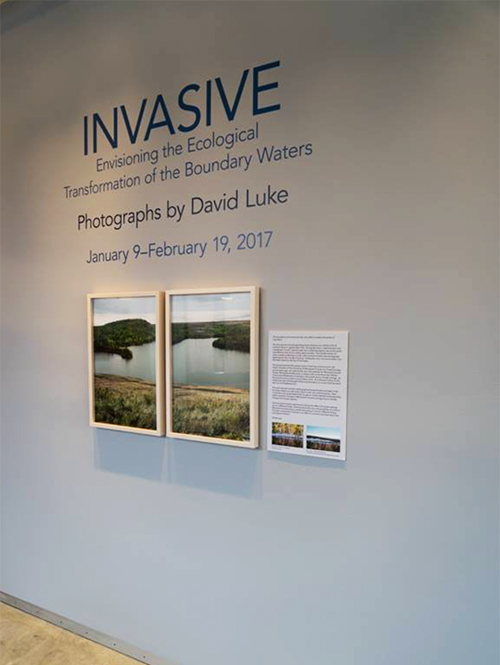 david luke exhibition shot david luke exhibition shot