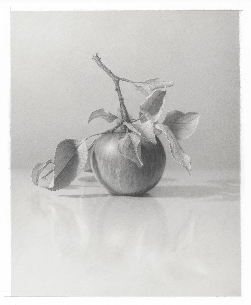 image2 Skip Steinworth "Apple"
14" x 11"
