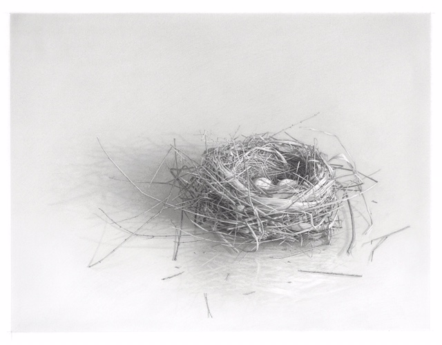 image3 Skip Steinworth "Nest #5"
13.5" x 16.5"