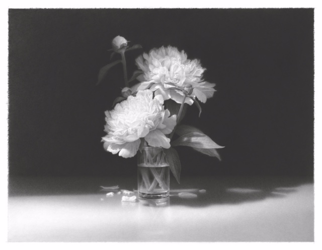 14948 Skip Steinworth Skip Steinworth "White Flowers in Bright Light" 22.5" x 29.5"