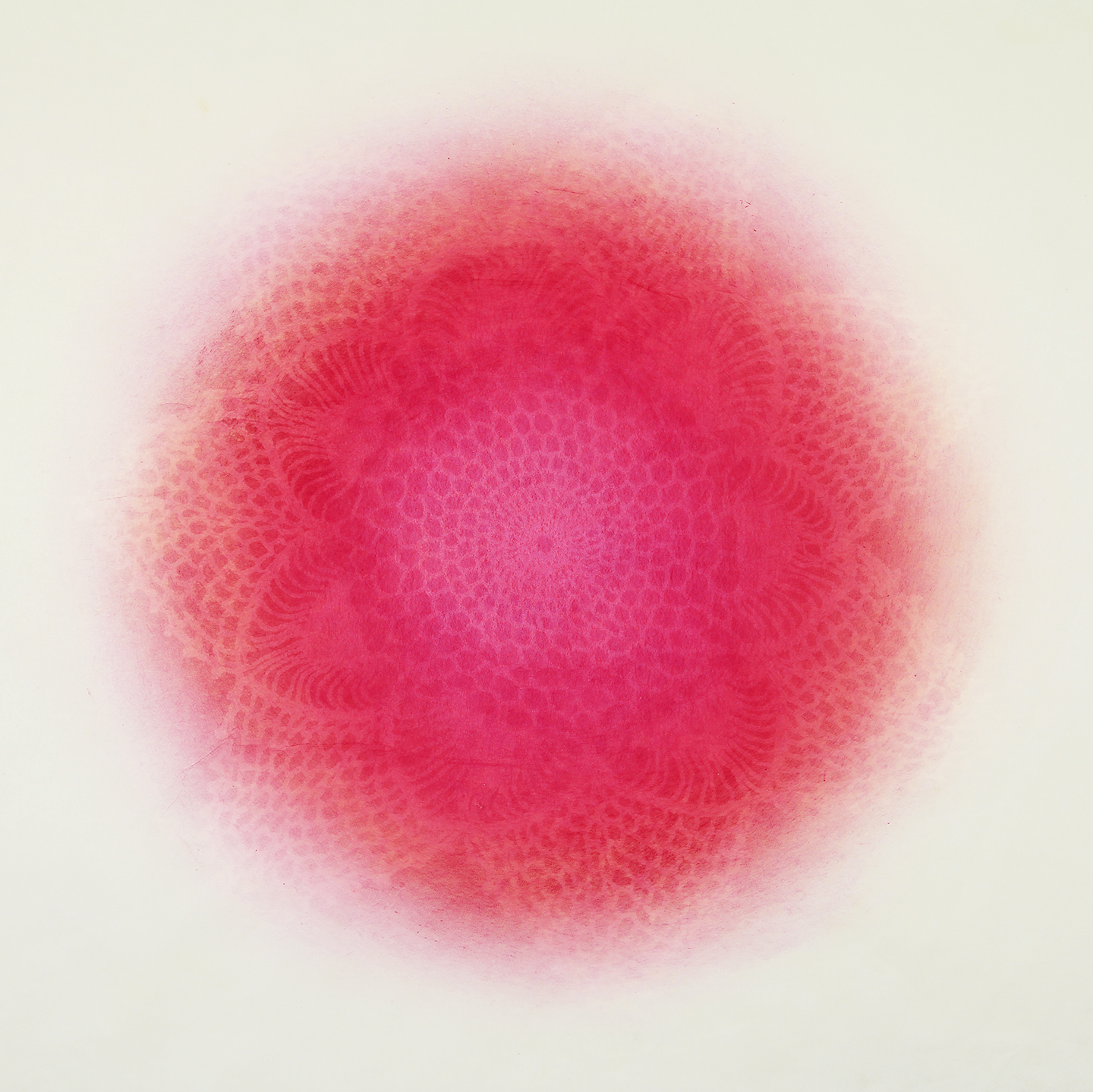 Revolution "Hope" Amy Sands Revolution "Hope" XXXI monoprint, serigraphy and laser cut on layered kozo 1/1 2017
