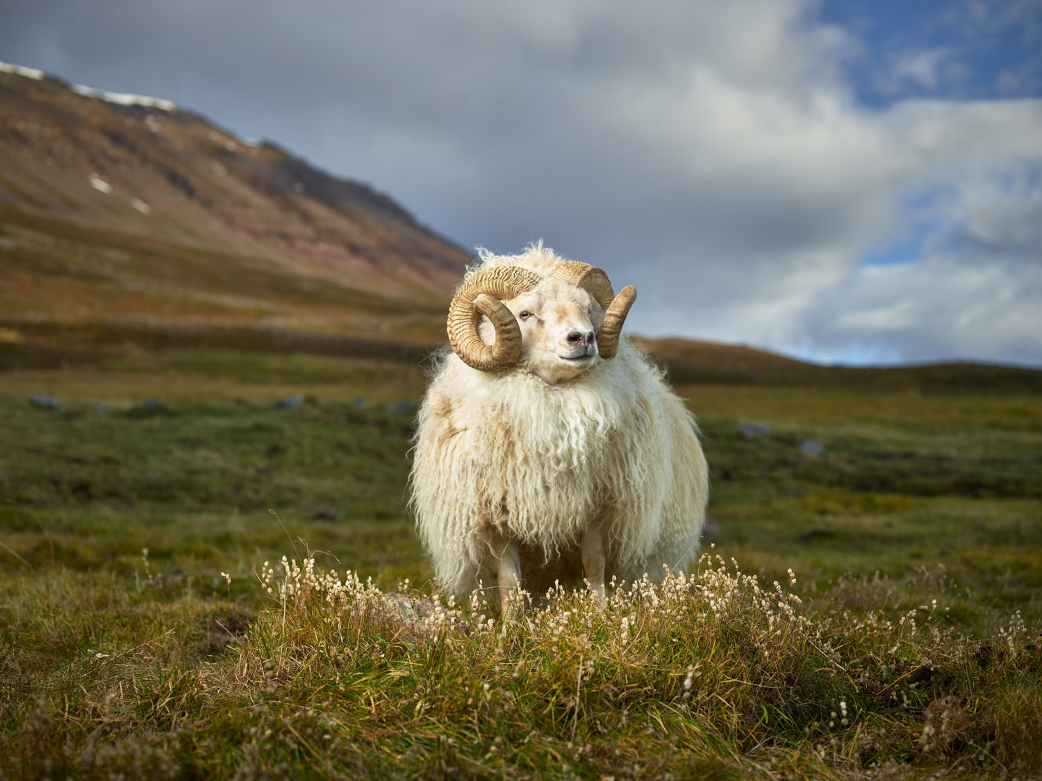 "Mr. Hofsós, Skagafjardarsysla, Iceland,” 23.5 x 30 inches, archival pigment print, Ed 7 + 1AP, 2014 © R. J. Kern