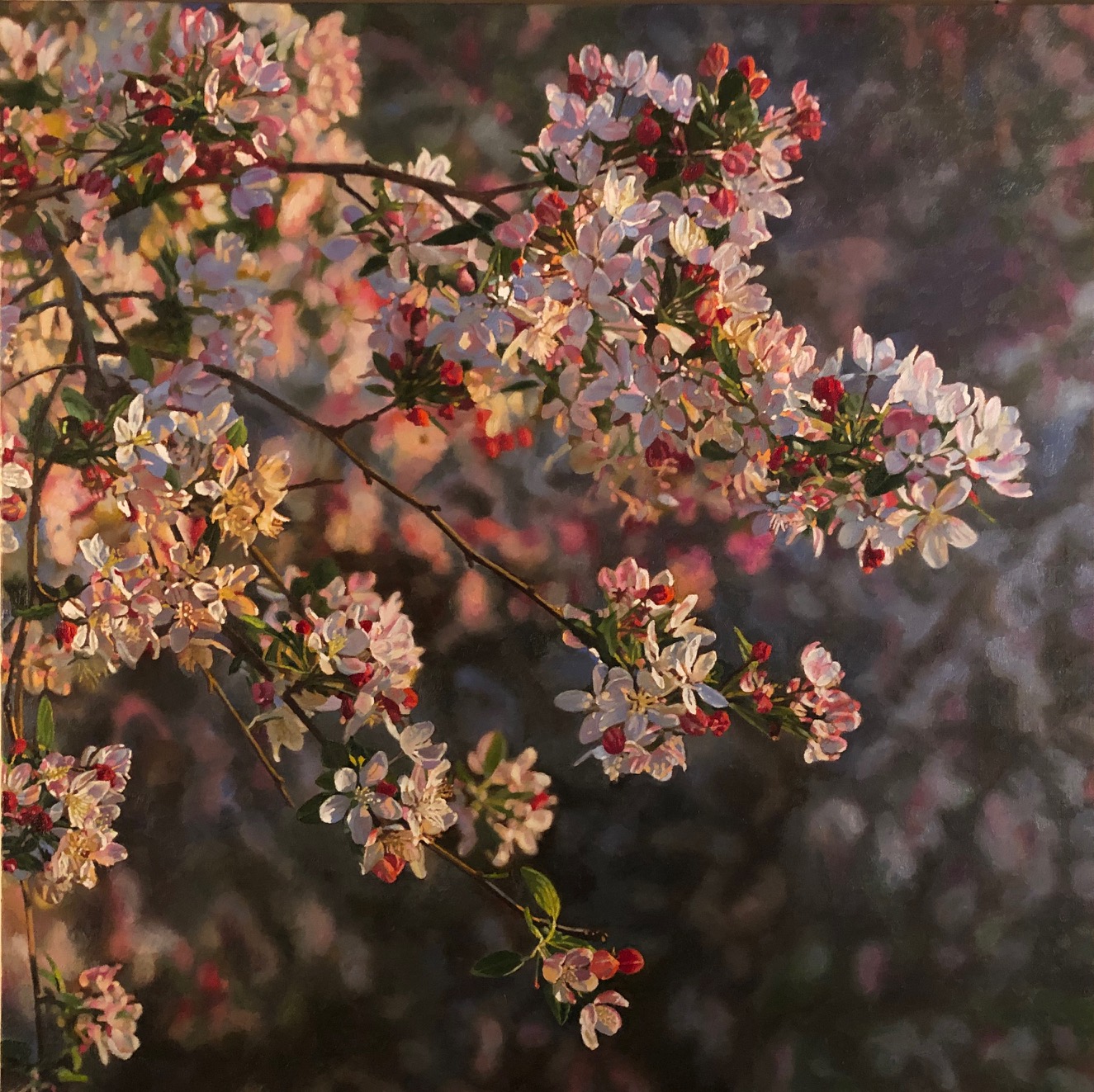 image2 Crabapple Blossoms, 2019, oil on canvas, 30"x30”